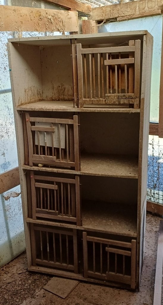 Kweekbak, Enlèvement, Utilisé, Bois, Cage d'élevage
