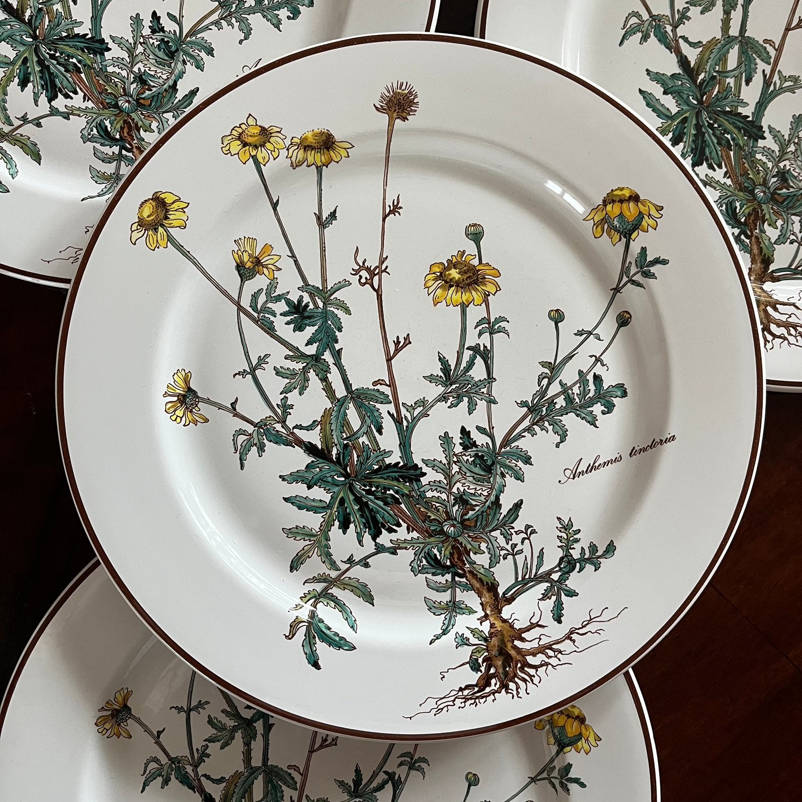 4 grandes assiettes plates Villeroy & Boch Botanica Anthemis, Antiquités & Art, Antiquités | Services (vaisselle) pièces, Enlèvement ou Envoi