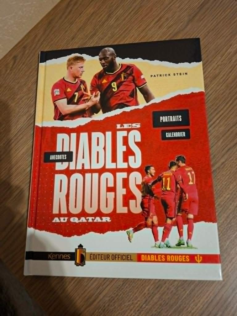 Les Diables Rouges au Qatar / Patrick Stein, Boeken, Ophalen of Verzenden, Zo goed als nieuw, Patrick Stein, Balsport