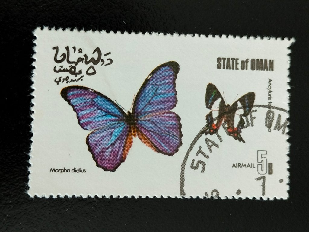 État d'Oman 1977 - insectes, papillons, Envoi, Affranchi