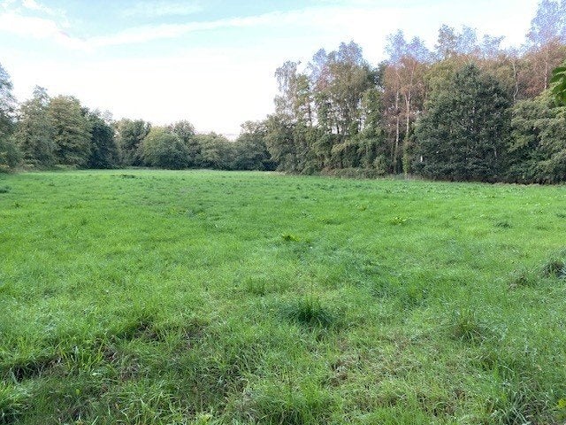 weiland 50a13, Dieren en Toebehoren