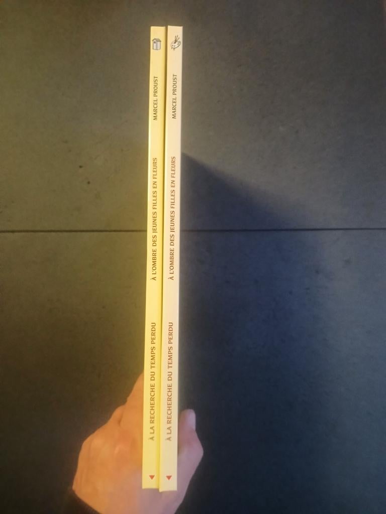 Lot de 2 bd à la recherche du temps perdu 2 et 3, Boeken, Stripverhalen, Ophalen of Verzenden
