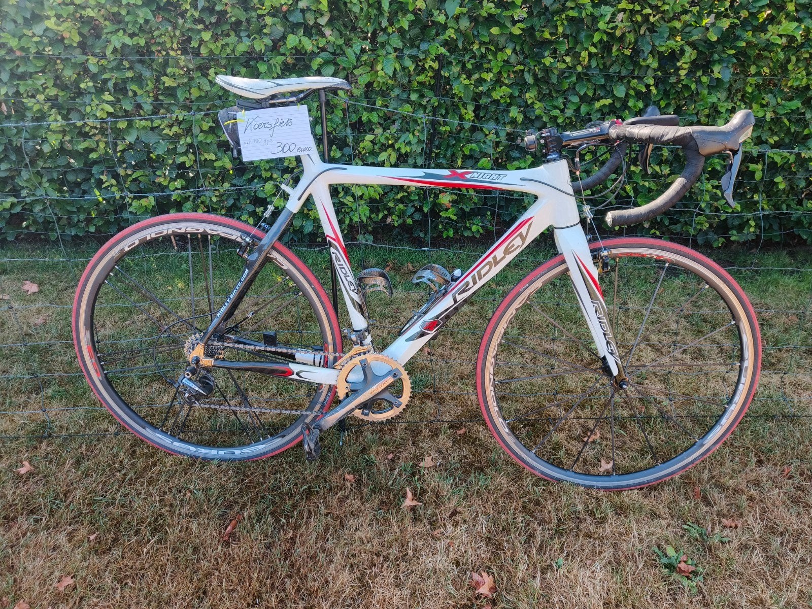 koersfiets Ridley maat 52, Fietsen en Brommers, Ophalen, Gebruikt