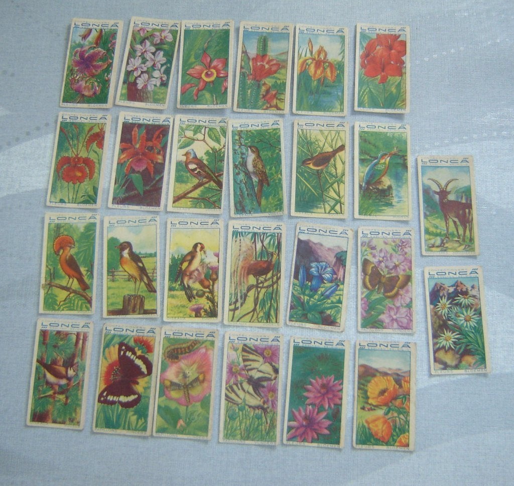 Chromos LONCA Confectionery 26st Dieren Planten, Verzamelen, Foto's en Prenten, Gebruikt, Verzenden, Voor 1940, Prent