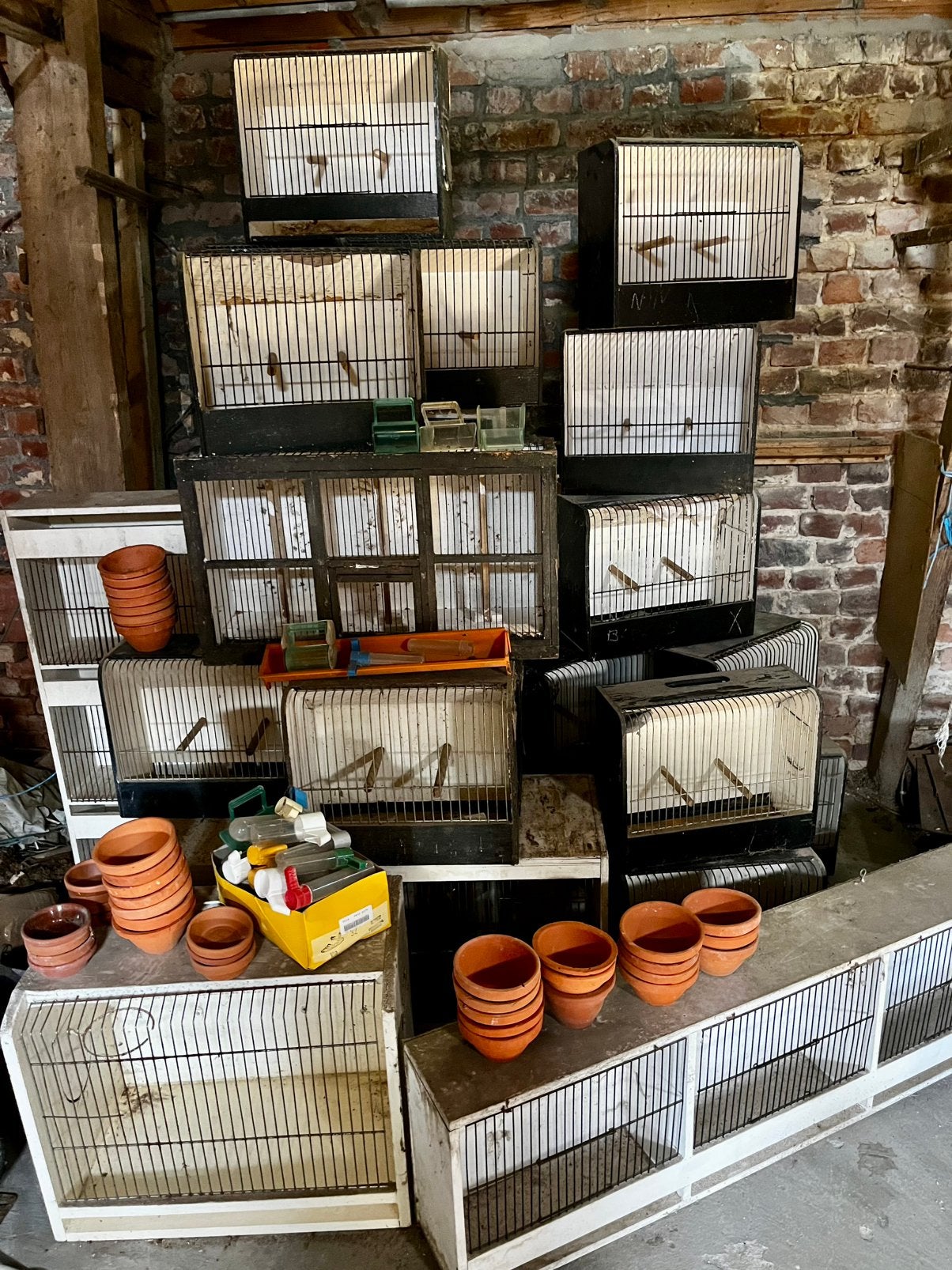 Groot lot kweekkooien, Dieren en Toebehoren, Ophalen, Gebruikt, Hout, Broedkooi of Kweekkooi