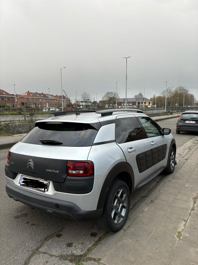 C4 Cactus, Autos, Argent ou Gris, Achat, Euro 6, Boîte manuelle