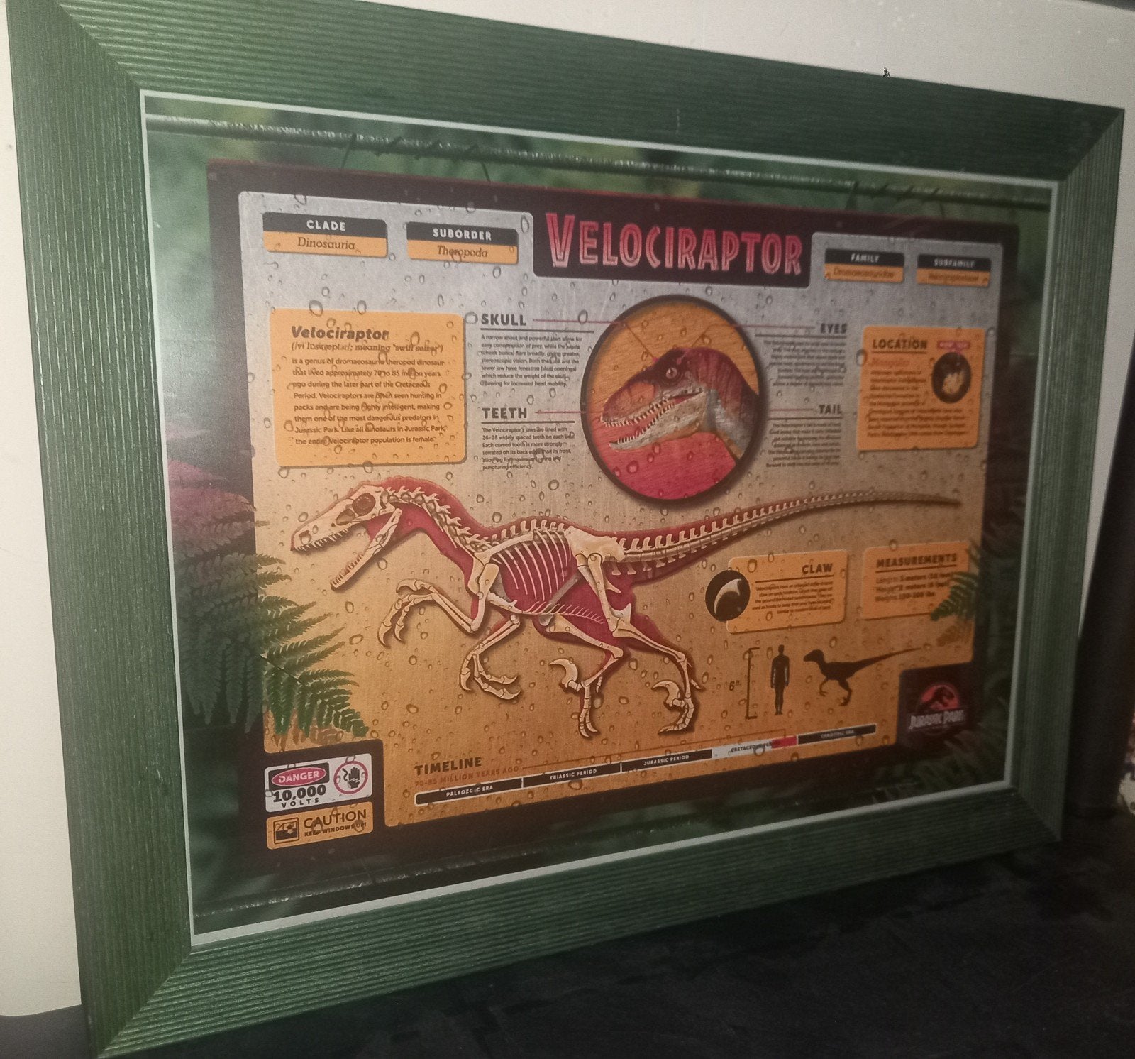 Jurassic Park, Enlèvement ou Envoi