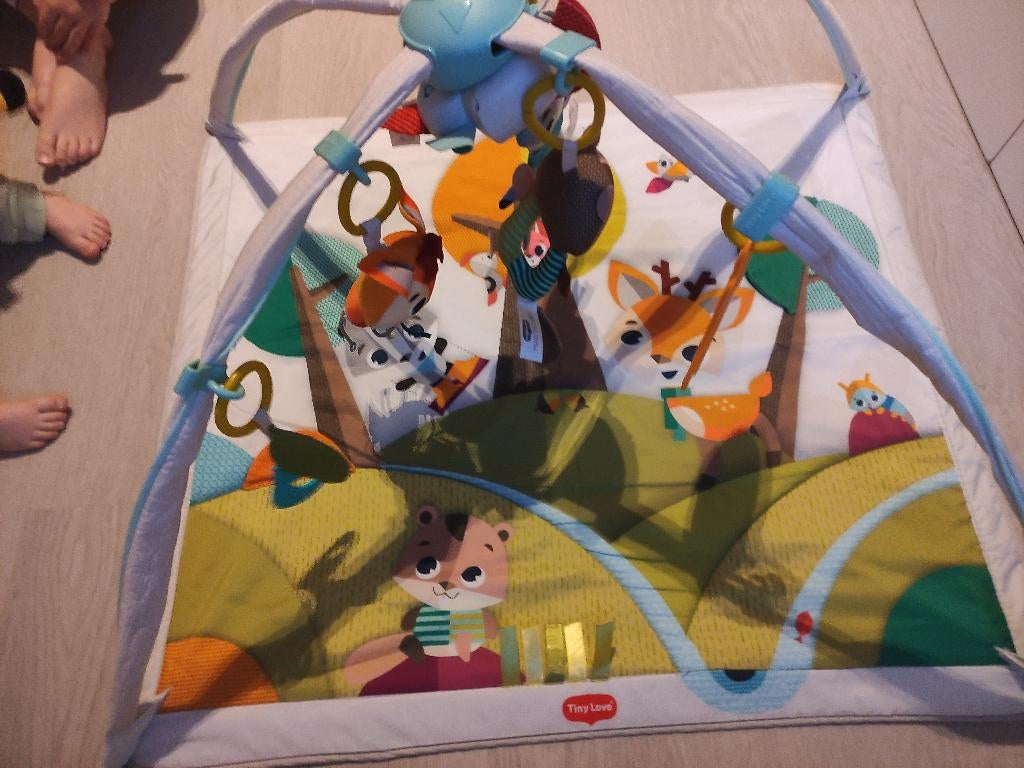 Tapis de sport Tiny Love Deluxe pour bébé - Into the forest, Enlèvement ou Envoi, Utilisé