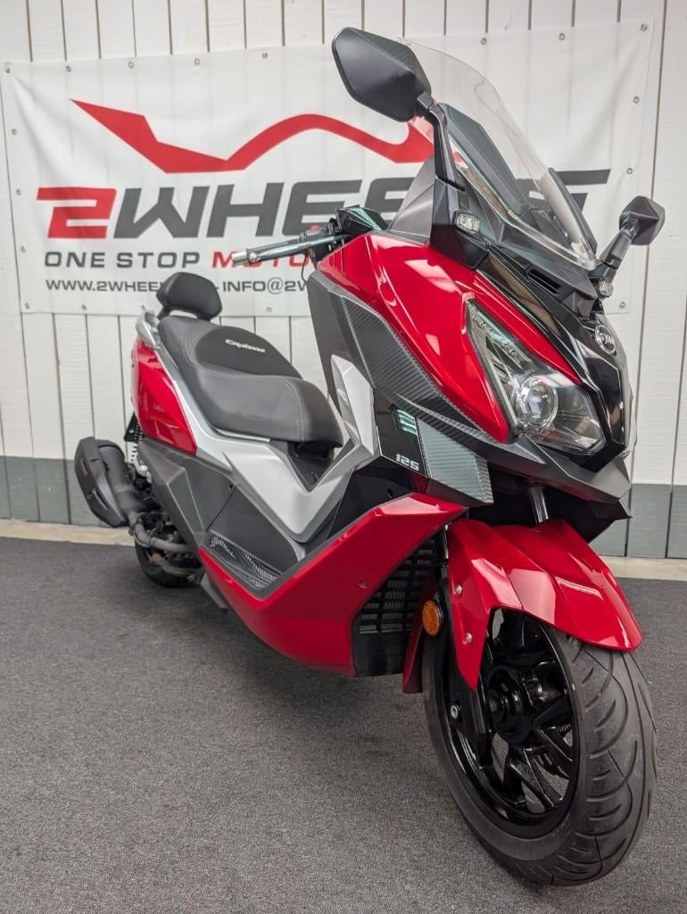 SYM CRUISYM 125, Scooter, Entreprise, Occasion, Permis Moto A1 minimum