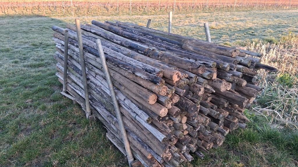 poteaux en bois, Jardin & Terrasse, Poteaux, Poutres & Planches, Poteaux, Enlèvement