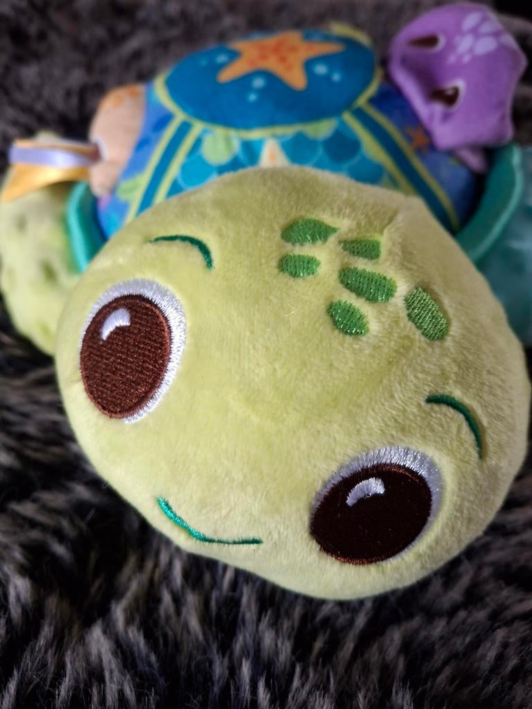 Vtech schildpad als nieuw., Ophalen