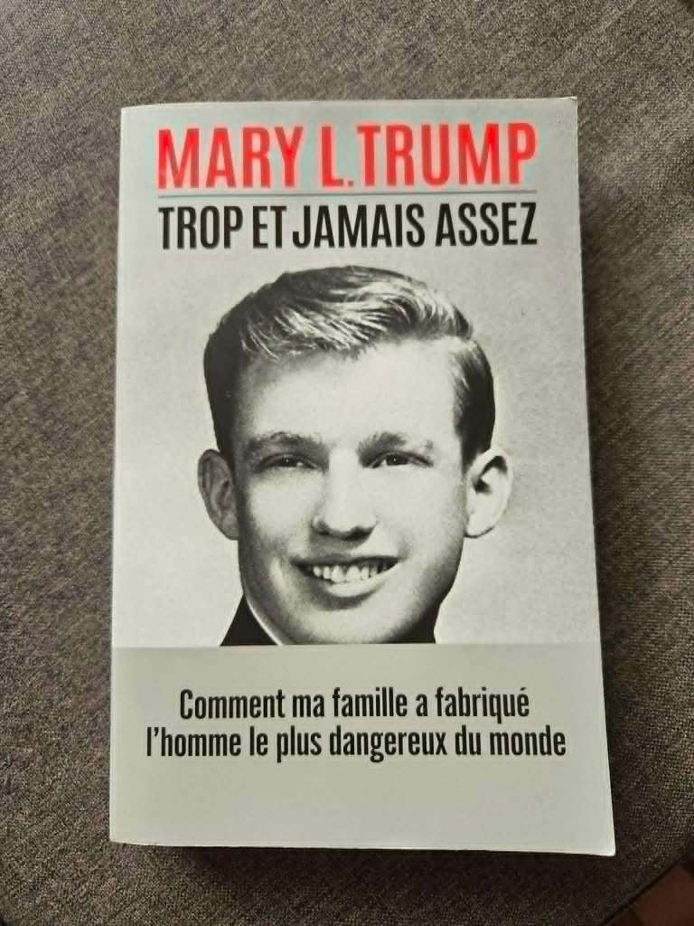 Livre Trop et jamais assez de Mary L. TRUMP grand format, Boeken, Ophalen of Verzenden, Zo goed als nieuw
