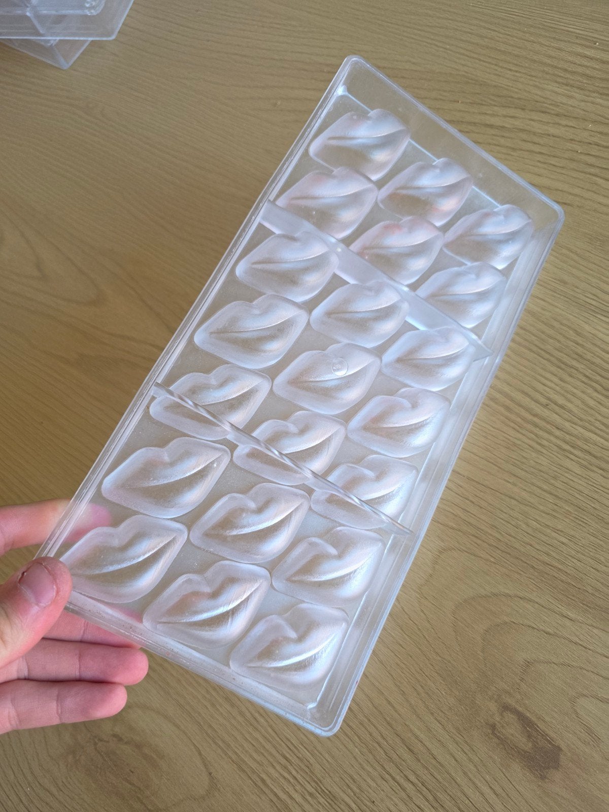 chocolade vormen, Dieren en Toebehoren, Insecten en Spinnen