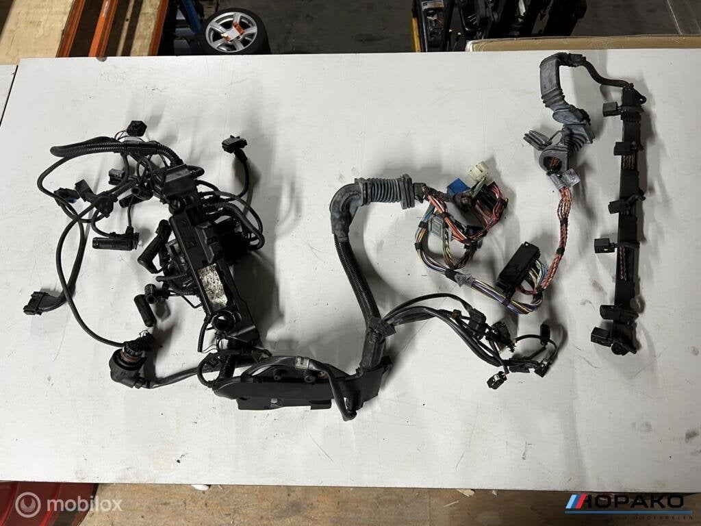 Kabelboom motor BMW E6x 535D M57D5, Enlèvement ou Envoi, Einsteinlaan 5 rijswijk, Bmw, Utilisé