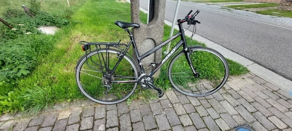 Degelijke damesfiets, Sport en Fitness, Ophalen, Zo goed als nieuw, Overige typen