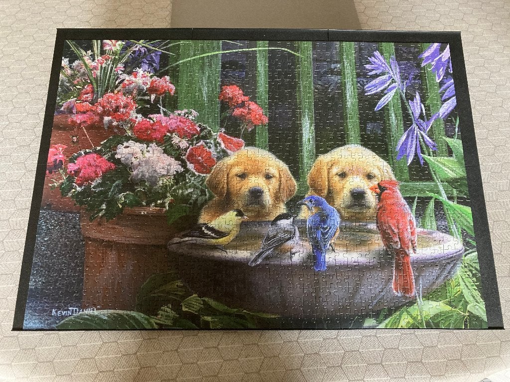 Puzzel 'Puppies drinking water', King, 1000 stukjes (complee, Hobby & Loisirs créatifs, Enlèvement ou Envoi, 500 à 1500 pièces