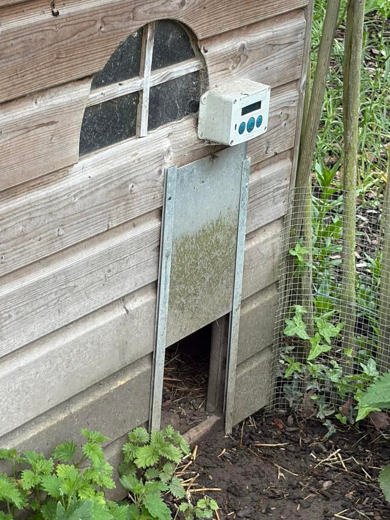 CHicken guard, Ophalen of Verzenden, Gebruikt, Kippenhok of Kippenren
