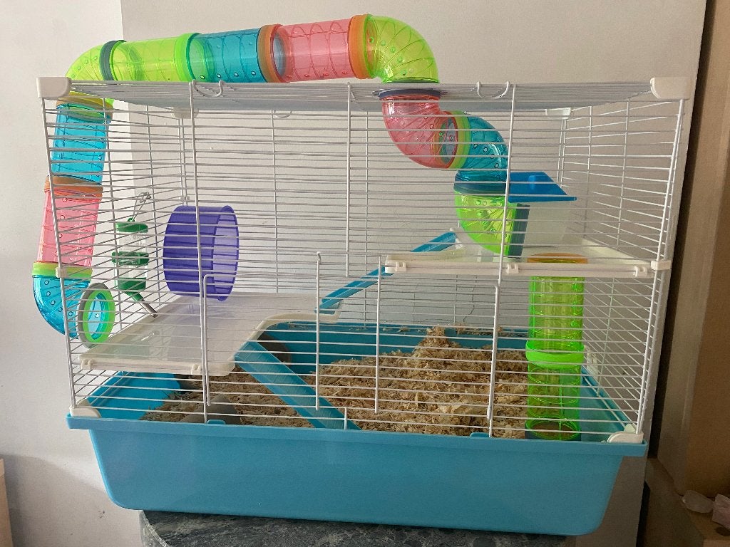 Hamsterkooi, Animaux & Accessoires, Rongeurs & Lapins | Cages & Clapiers, Neuf, Cage, Moins de 75 cm, Hamster, Souris, Enlèvement