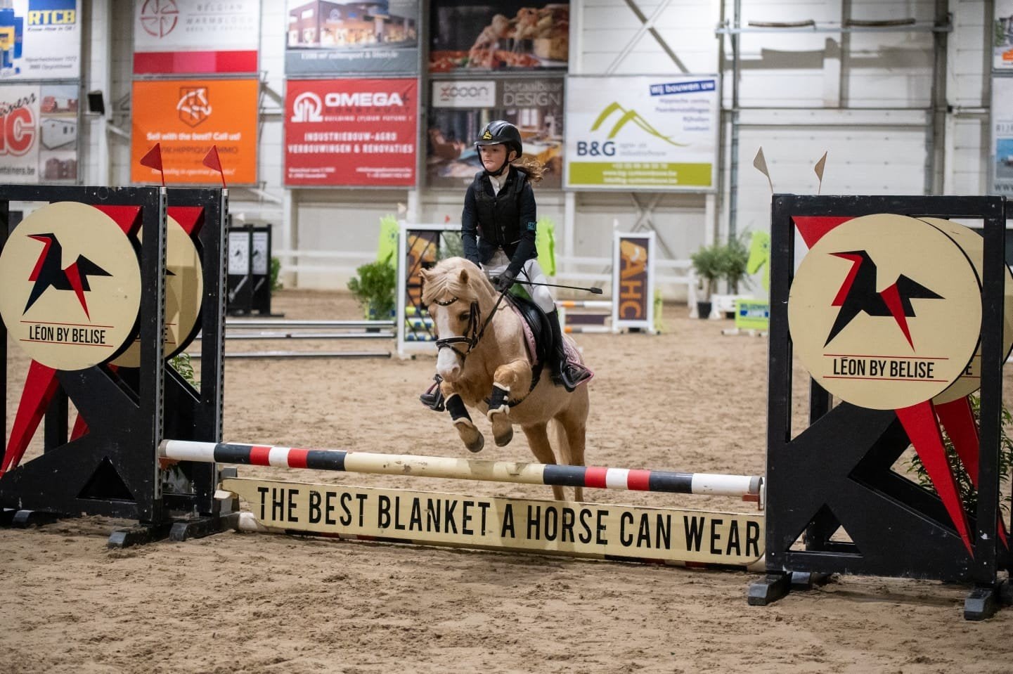 Gouden kinderpony, Dieren en Toebehoren, Merrie