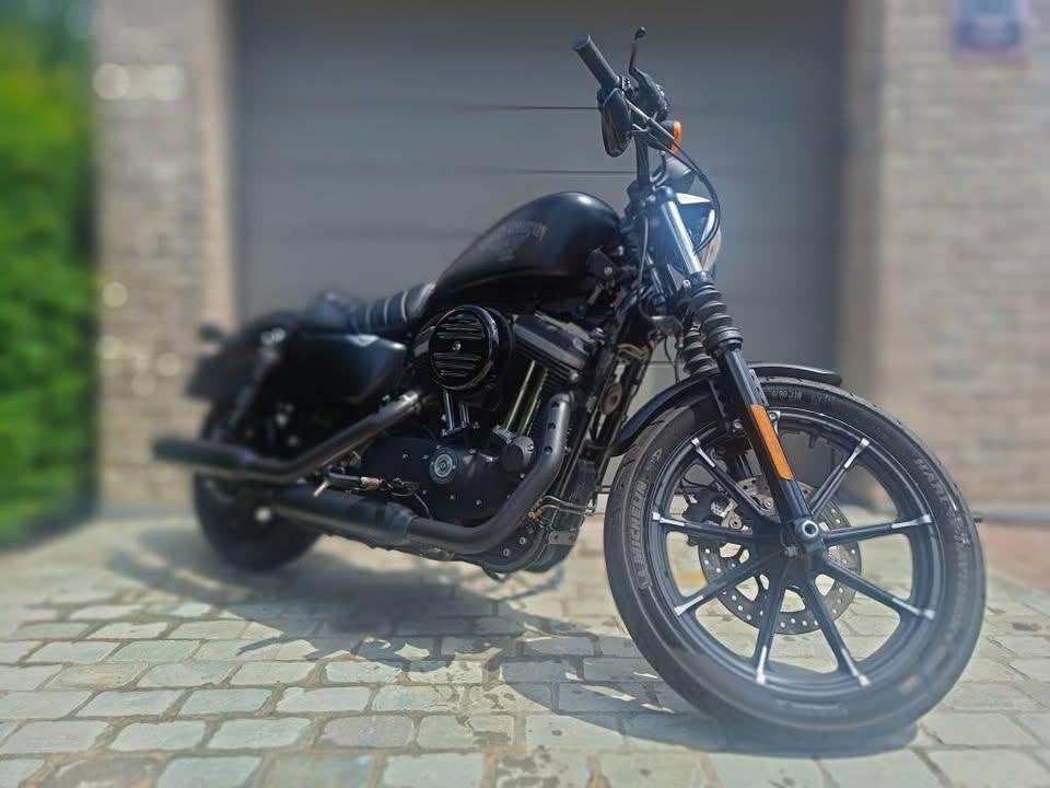 Harley-Davidson Iron 883, Gebruikt, 883 cc, Particulier, Meer dan 35 kW