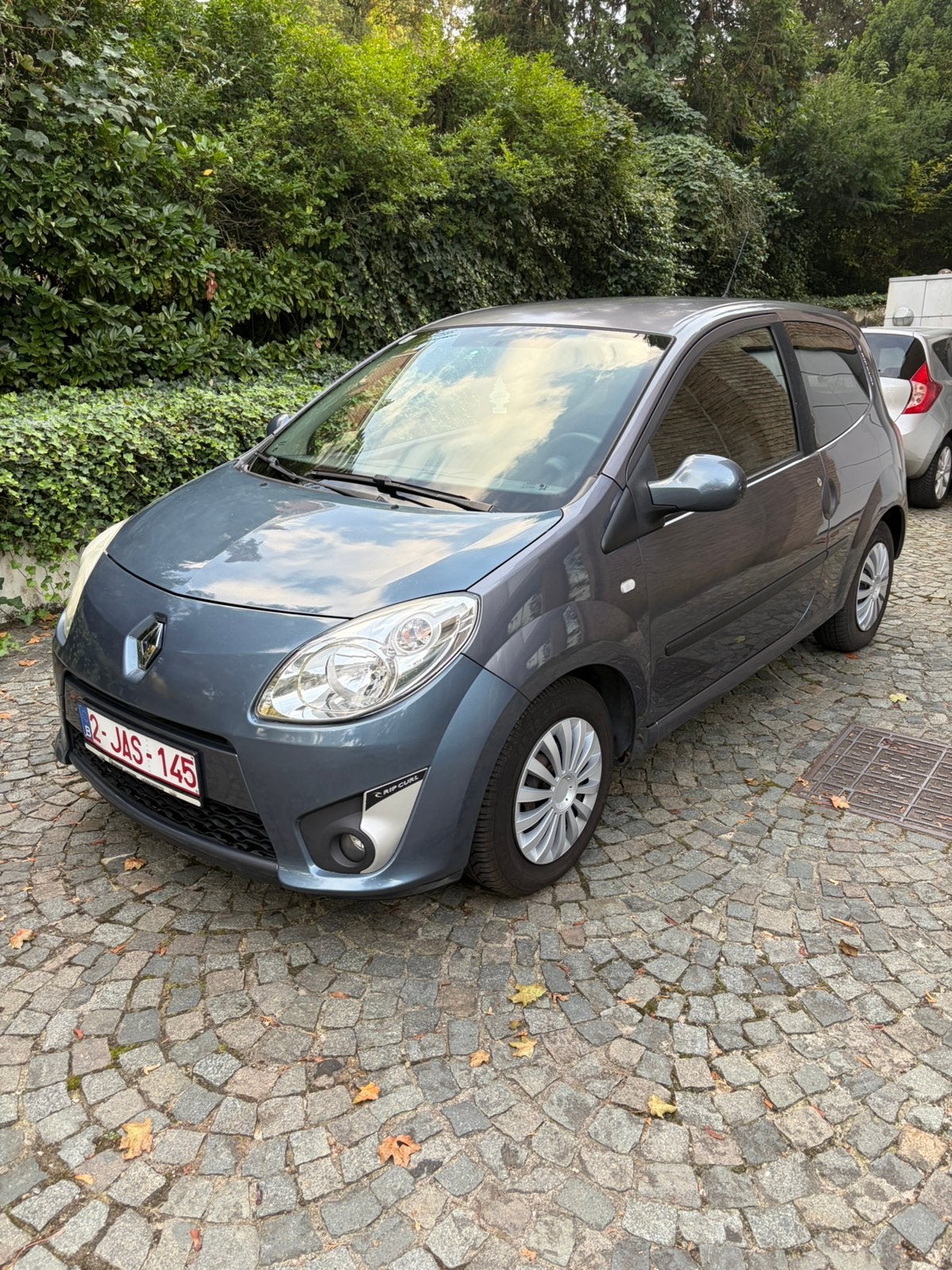 Renault 1.2 benzine Ripcurl-editie, klaar om te registreren, Auto's, Twingo, Mistlampen, Handgeschakeld, Particulier