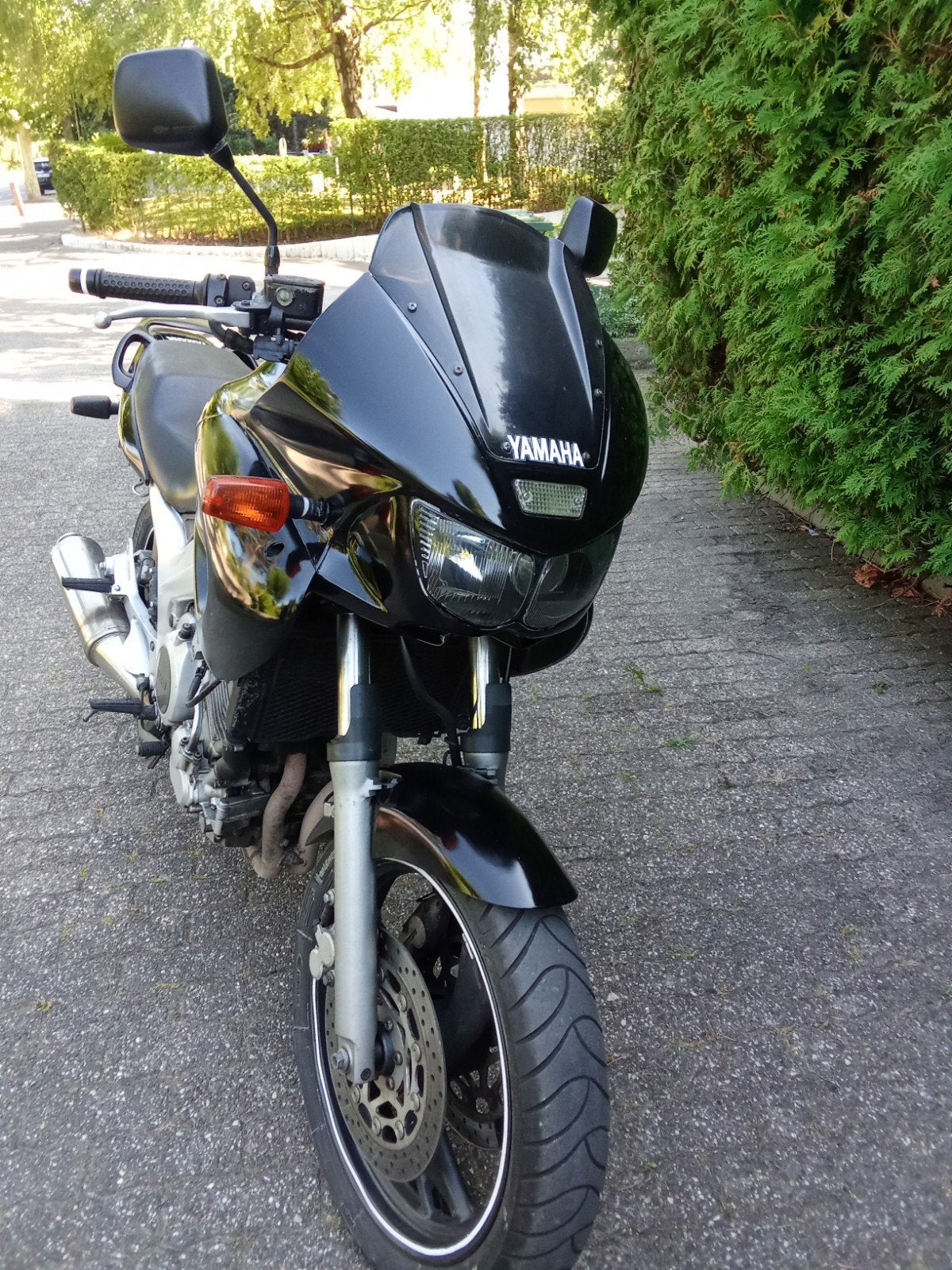 Yamaha TDM 850, Particulier