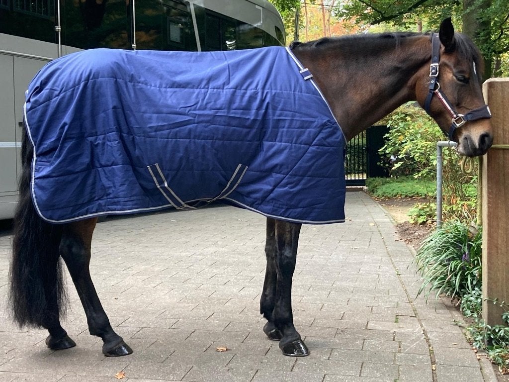 Bucas quilt onderdeken 150 gr voor D pony, Bucas, Bleu, Sous-couverture/doublure, 150 g