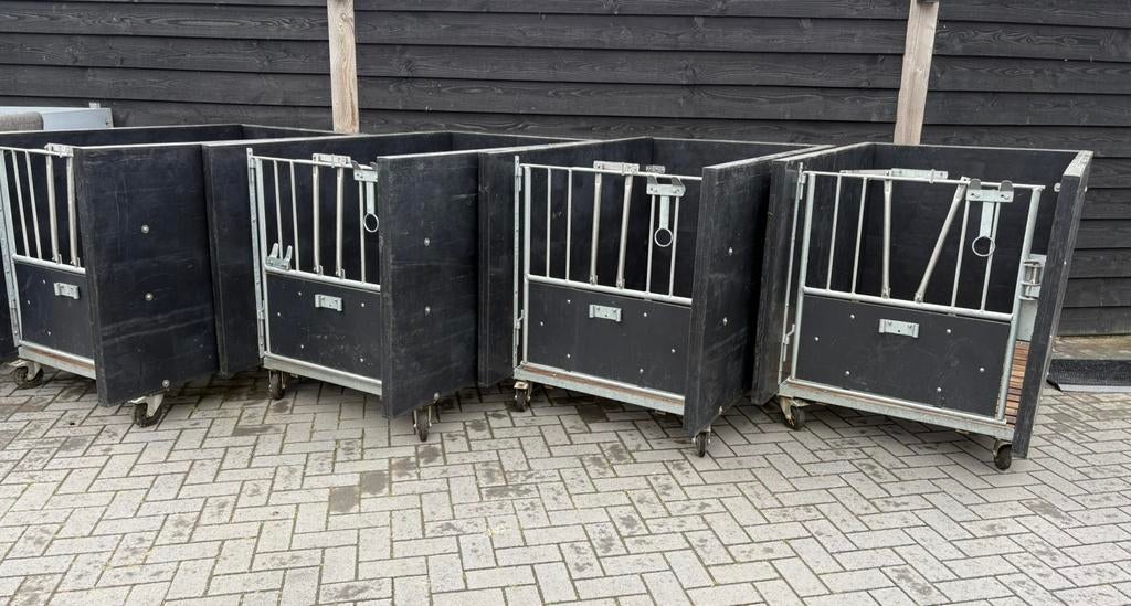 4 nette Kalverhokken, Dieren en Toebehoren, Runderen