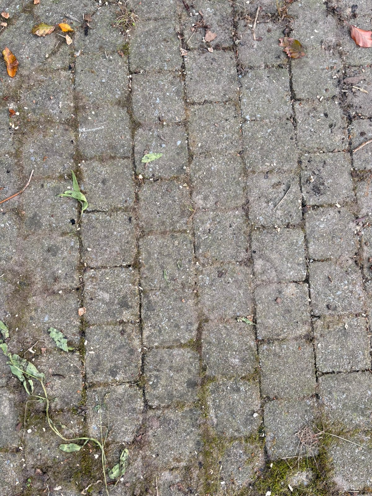 20 m2 klinkers - zelf uit te breken, Ophalen, Zo goed als nieuw, Klinkers