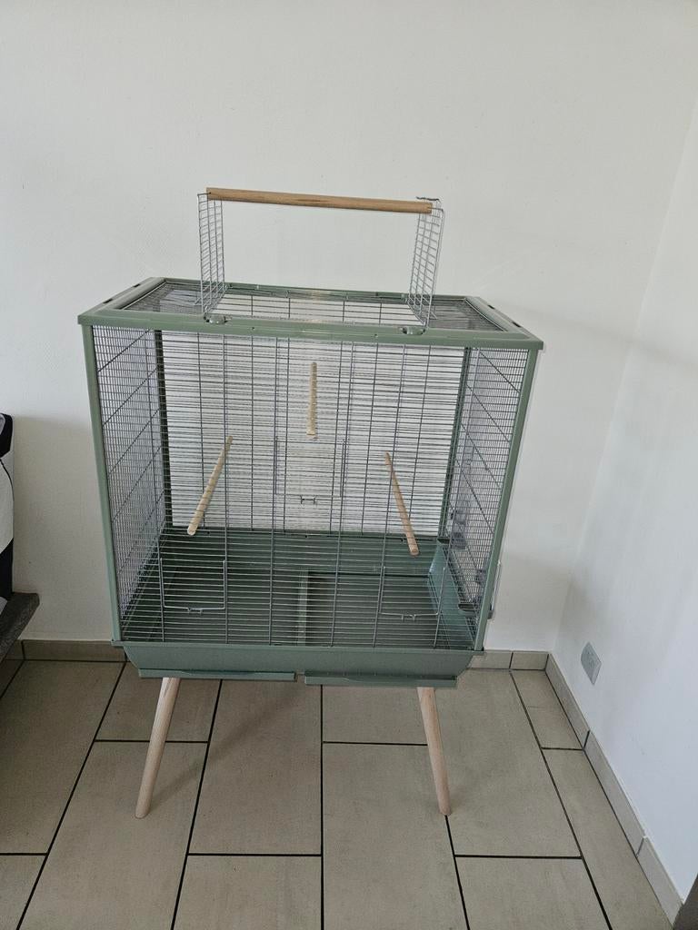 Cage, Animaux & Accessoires, Oiseaux | Cages & Volières