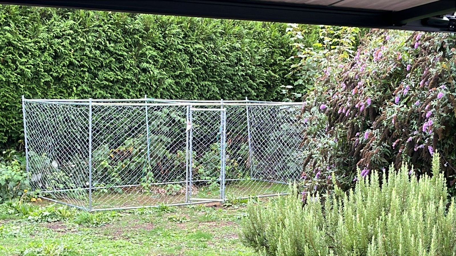 Vida XL hondenhok met deur, Dieren en Toebehoren, Hondenhokken, Ophalen, Zo goed als nieuw, Hondenhok