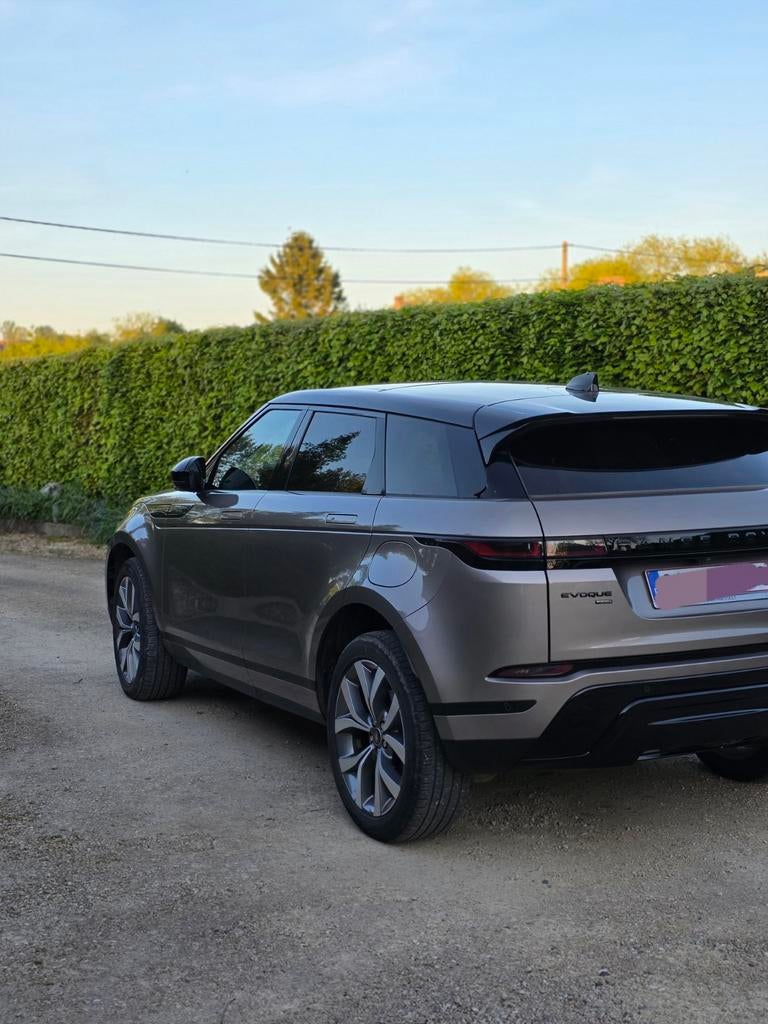 Range Rover Evoque hybride, Autos, Land Rover, Cuir, Achat, Autres couleurs, 5 portes
