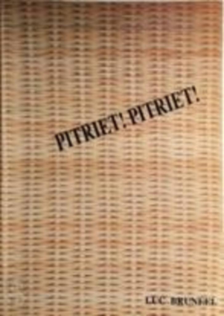 Pitriet Pitriet ! Luc bruneel 318 blz, Ophalen of Verzenden, Zo goed als nieuw
