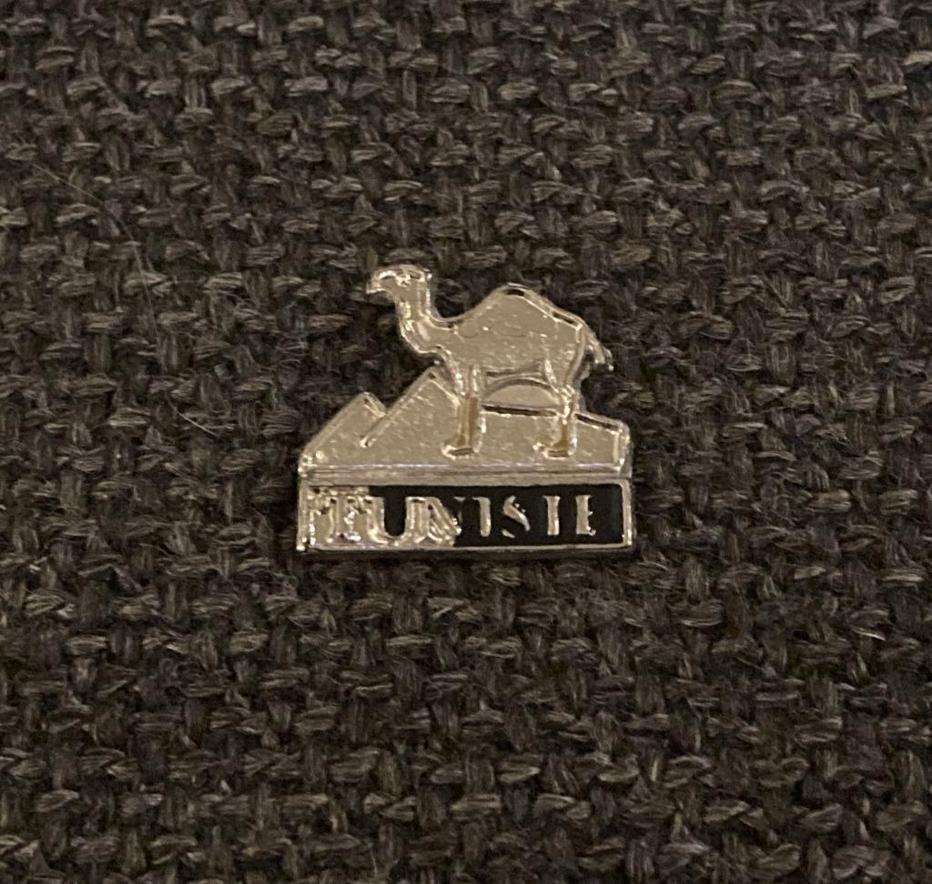 PIN - TUNISIE - TUNESIË - KAMEEL - CAMEL - CHAMEAU, Envoi, Utilisé, Ville ou Campagne, Insigne ou Pin's