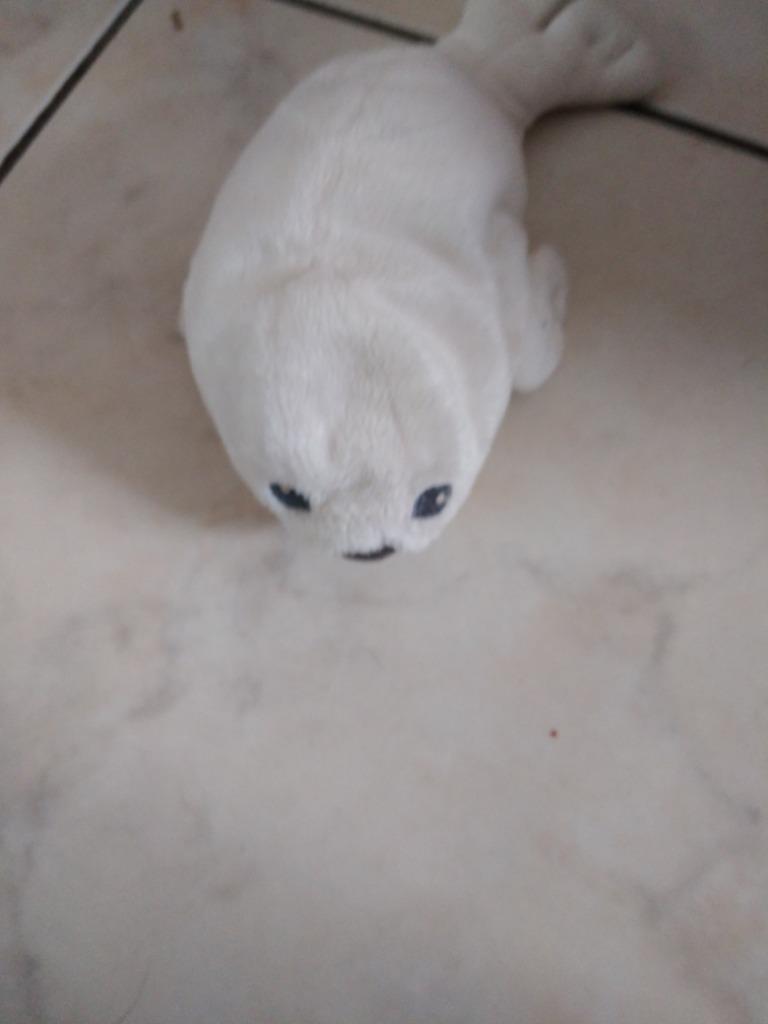 knuffel witte zeehond (doos 62), Ophalen of Verzenden, Nieuw
