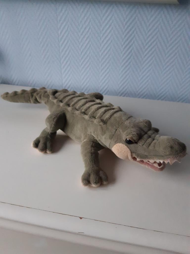 Leuke grote knuffel krokodil, Enlèvement