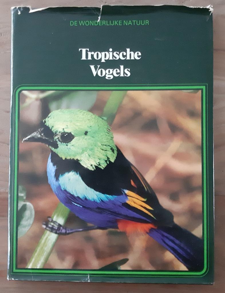 Tropische vogels, Gelezen, Ophalen of Verzenden, Lekturama Rotterdam, Vogels