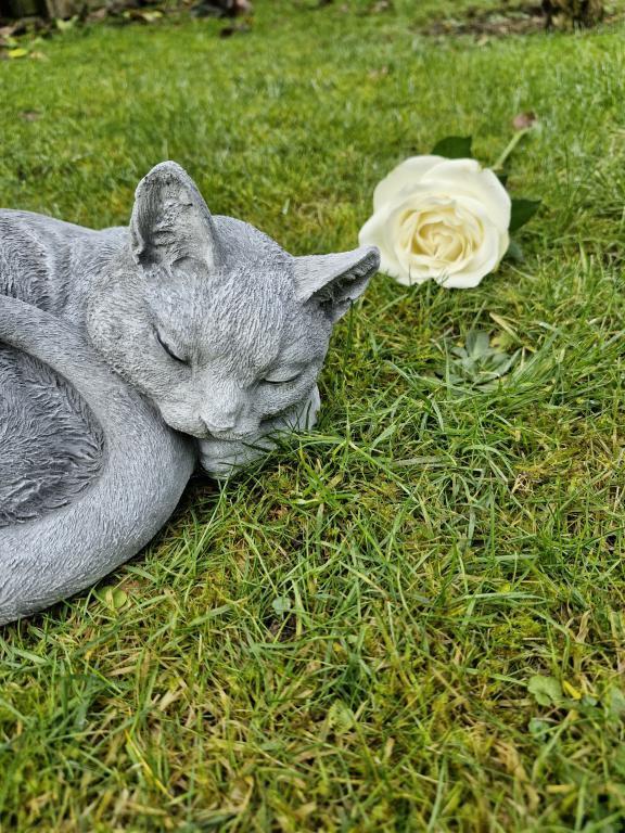 poes beton, Enlèvement ou Envoi, Neuf, Béton, Animal