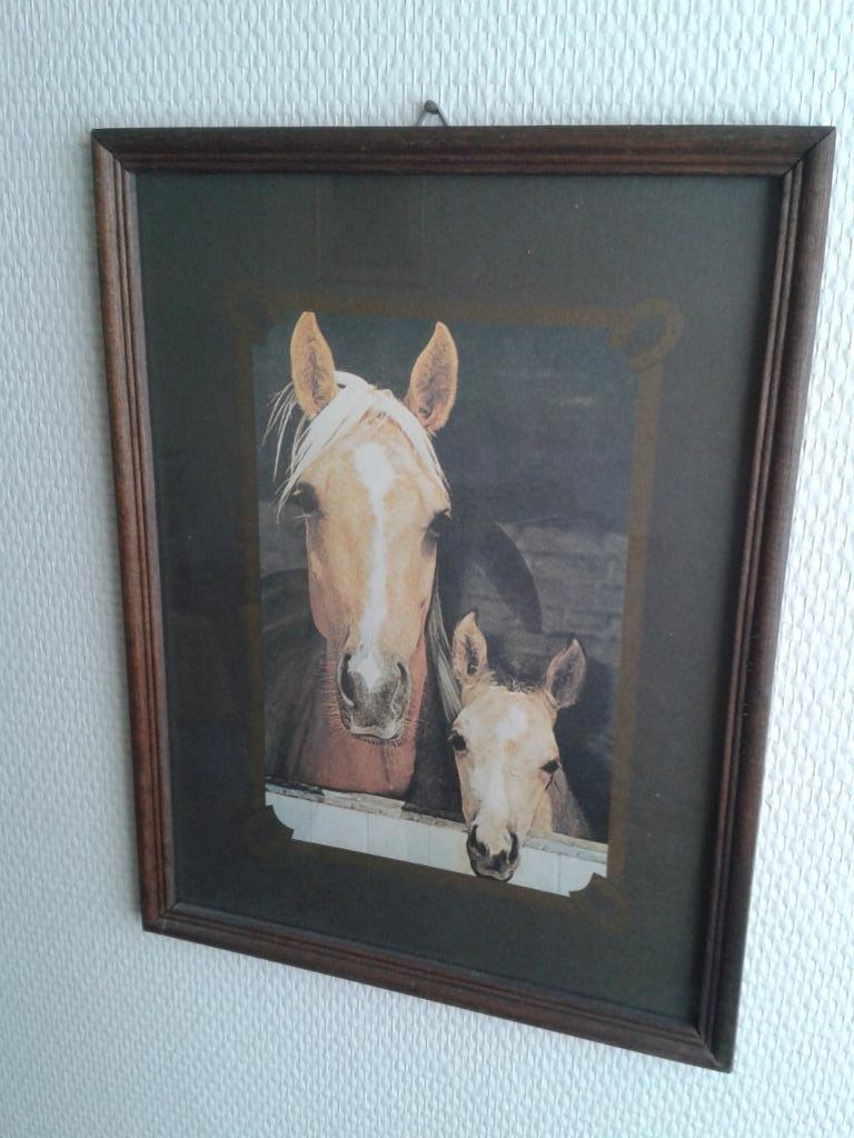Houten kader paarden, Ophalen of Verzenden