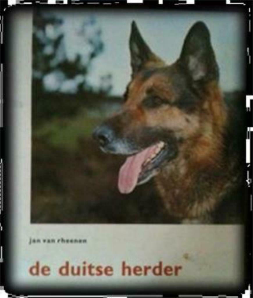 De Duitse herder, Jan Van Rheenen, Boeken, Ophalen of Verzenden, Gelezen, Honden