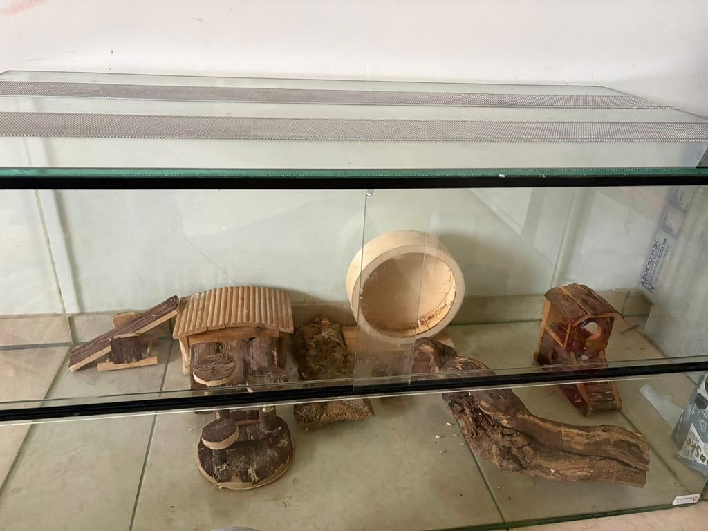 Hamster kooi + toebehoren, Ophalen, Zo goed als nieuw, Kooi, Hamster