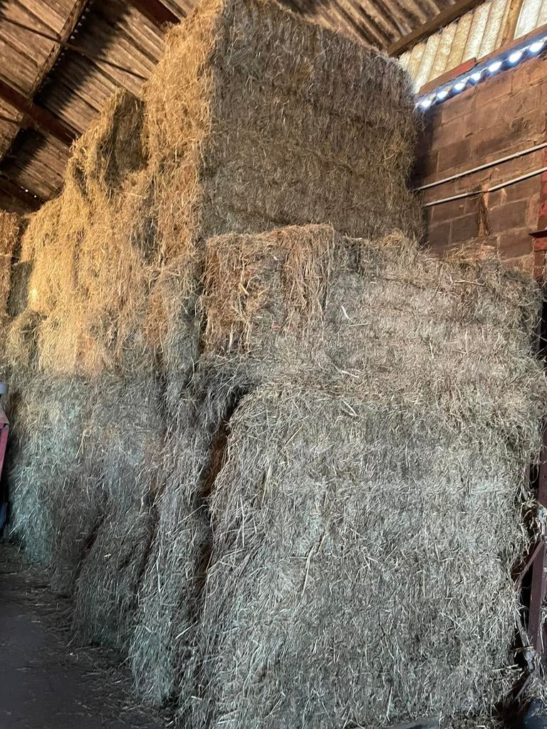 Grote pakken hooi 80x90x200 cm, Ophalen