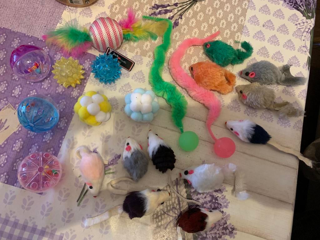 Lot jouets chat, Enlèvement ou Envoi, Neuf