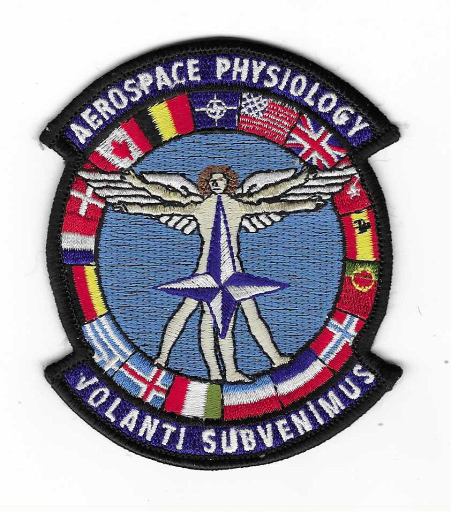 MILITARIA, Verzenden, Luchtmacht, Embleem of Badge