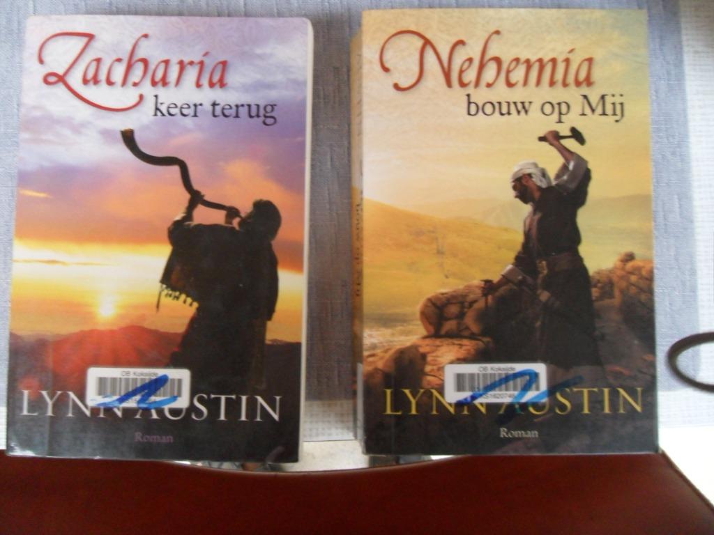 2 boeken Lynn Austin  de wederopbouw van Jeruzalem, Boeken, Verzenden