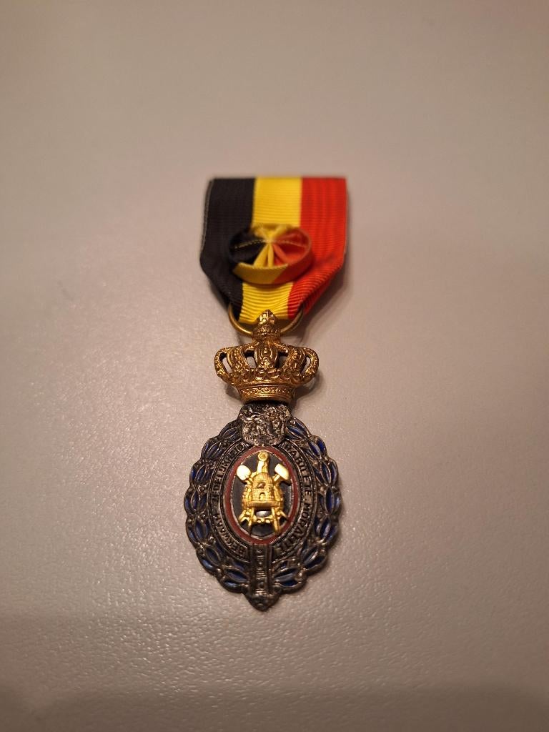 Medaille, Ophalen of Verzenden, Lintje, Medaille of Wings