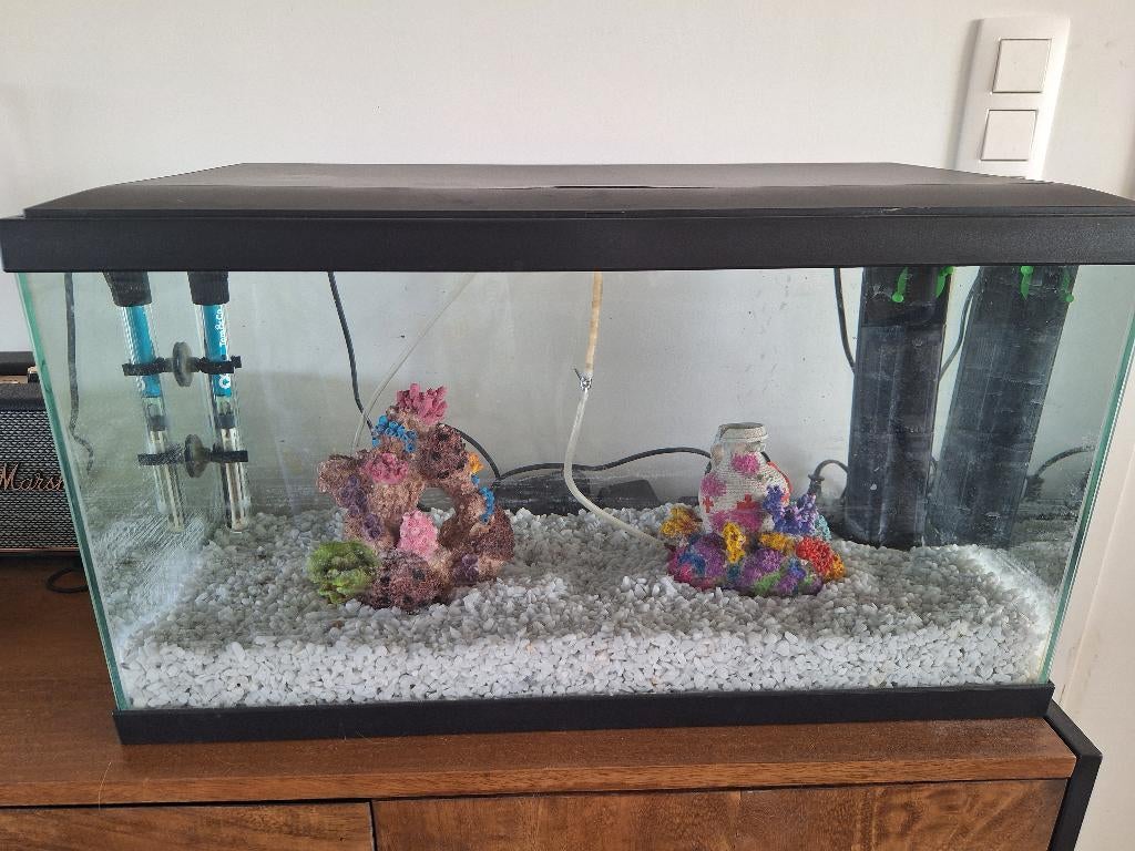 Aqarium met toebehoren, Chauffage, Aquarium vide, Enlèvement, Utilisé