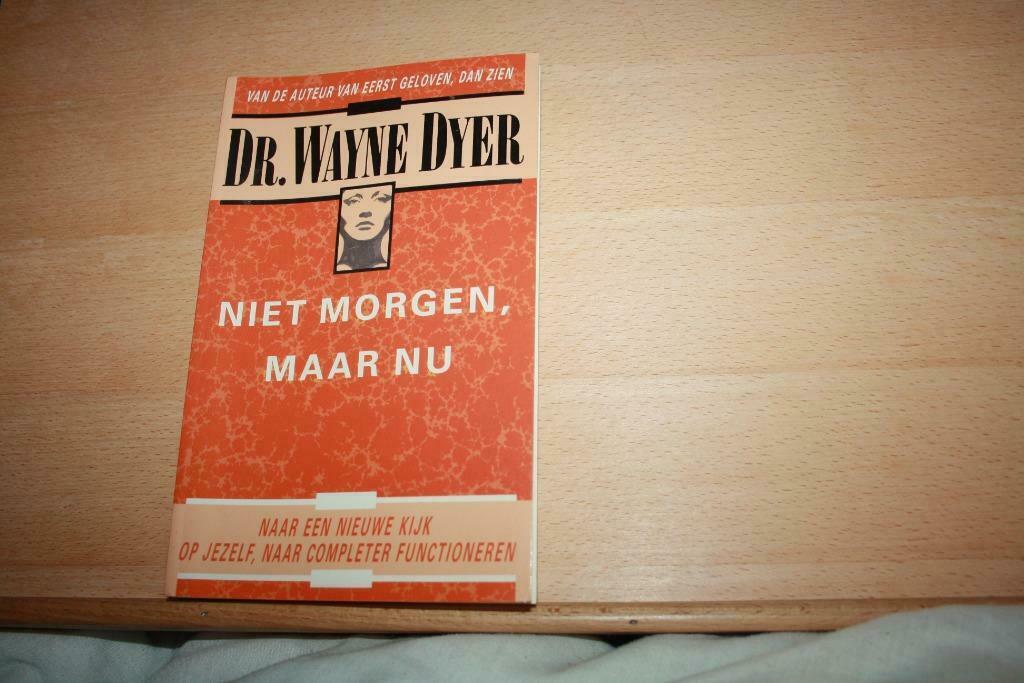 Niet morgen, maar nu – Dr. Wayne Dyer Naar een kijk op jezel, Boeken, Dr. Wayne Dyer, Persoonlijkheidsleer, Ophalen of Verzenden