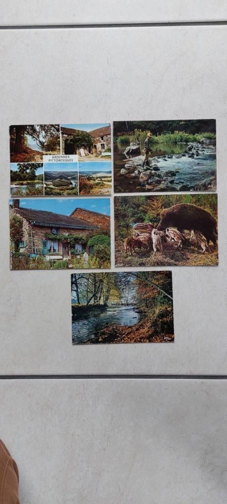 lot van 5 postkaarten : Ardennes pittoresques, Collections, Cartes postales | Belgique, Envoi