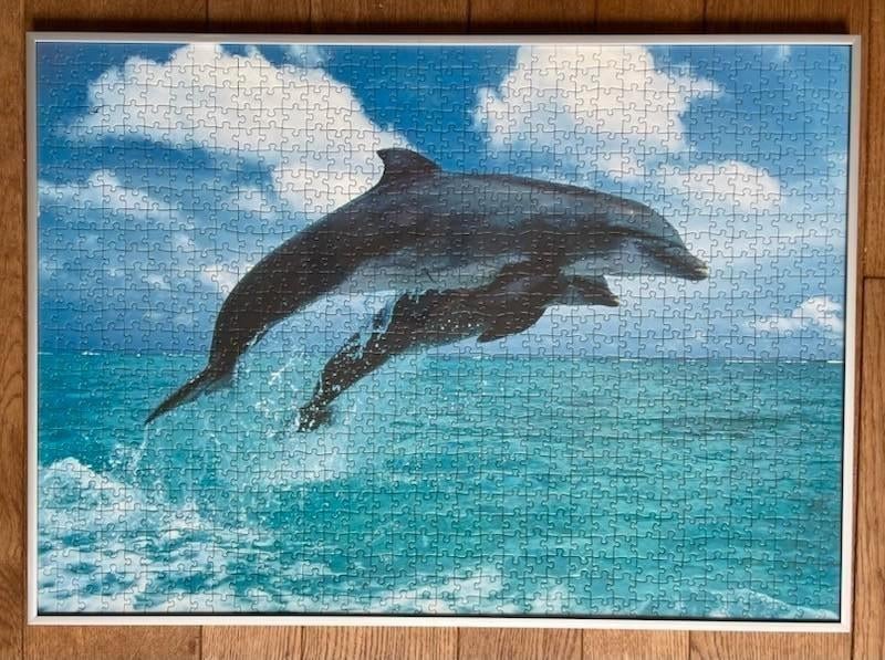 Puzzel dolfijnen in kader, Ophalen, Zo goed als nieuw